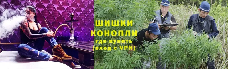 Бошки марихуана SATIVA & INDICA  Любань 